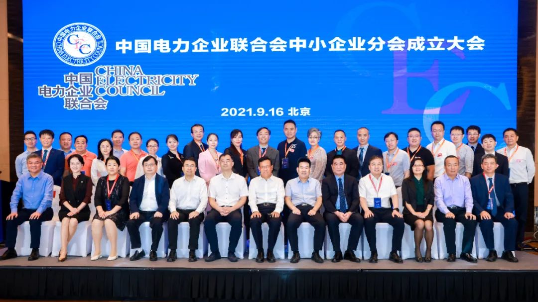 Warmly celebrate the establishment of the Small and Medium Enterprises Branch of China Electricity C